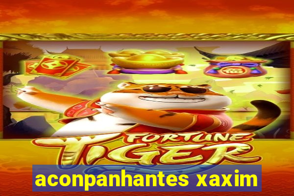 aconpanhantes xaxim